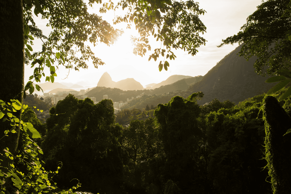 Passeio no parque nacional da tijuca.