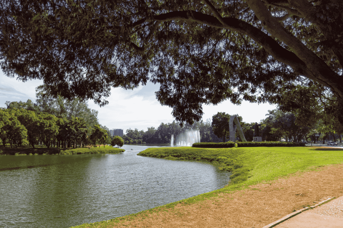 Passeio no parque Ibirapuera.