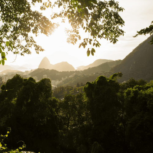 Passeio no parque nacional da tijuca.