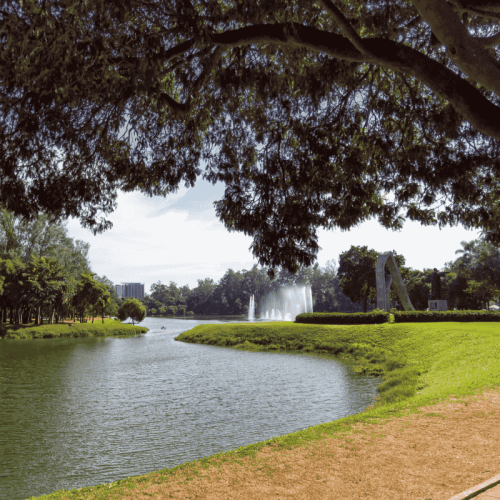 Passeio no parque Ibirapuera.