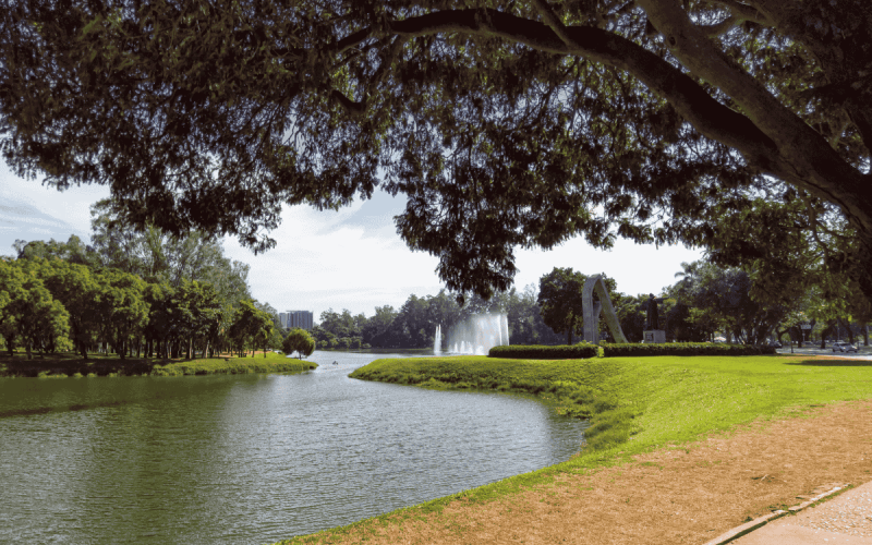 Passeio no parque Ibirapuera.